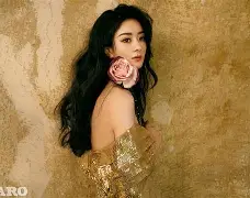 爱游戏体育-赛地聚焦：社区盾今夜热度飙升，勒沃库森复出首秀，信心回归，身体对抗强度拉满(勒沃库森vs海登海姆)